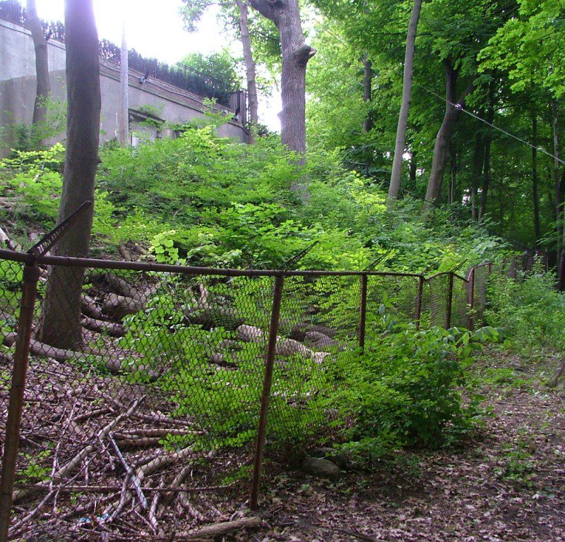 Ardwold Gate