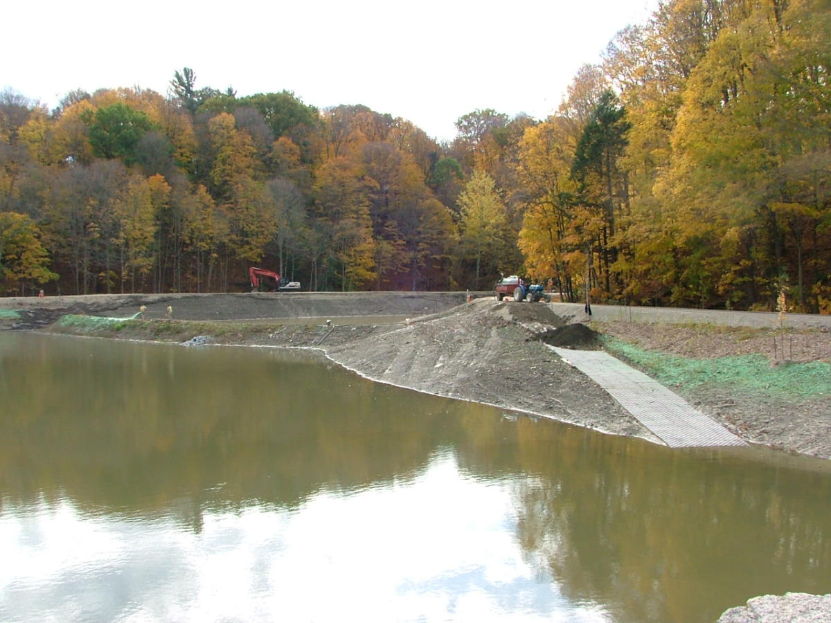 Earl Bales Storm-water Pond 2010