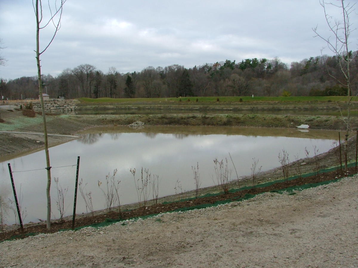 Earl Bales Storm-water Pond 2010