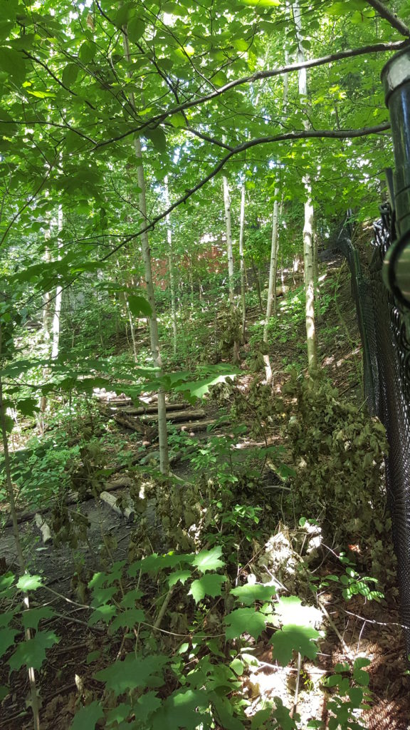 2 cluny drive 2019 576x1024