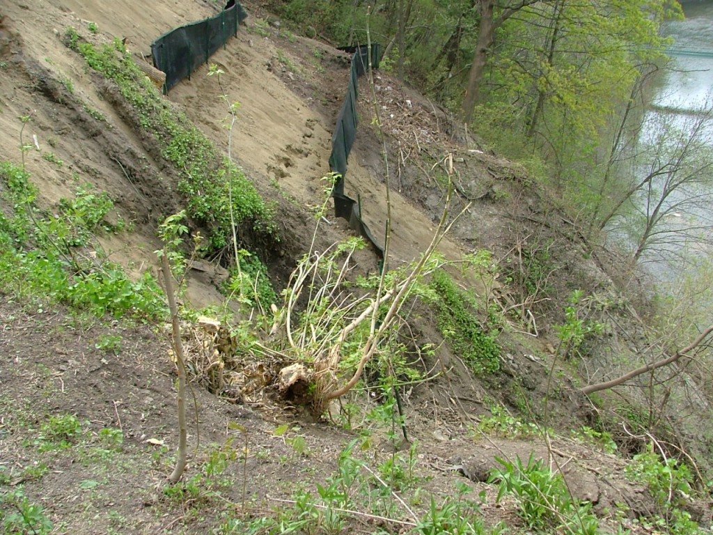 2006 0504image0011 1024x768