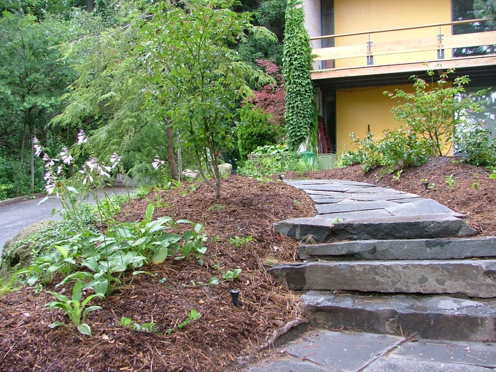 2006 0803image0023 1024x768