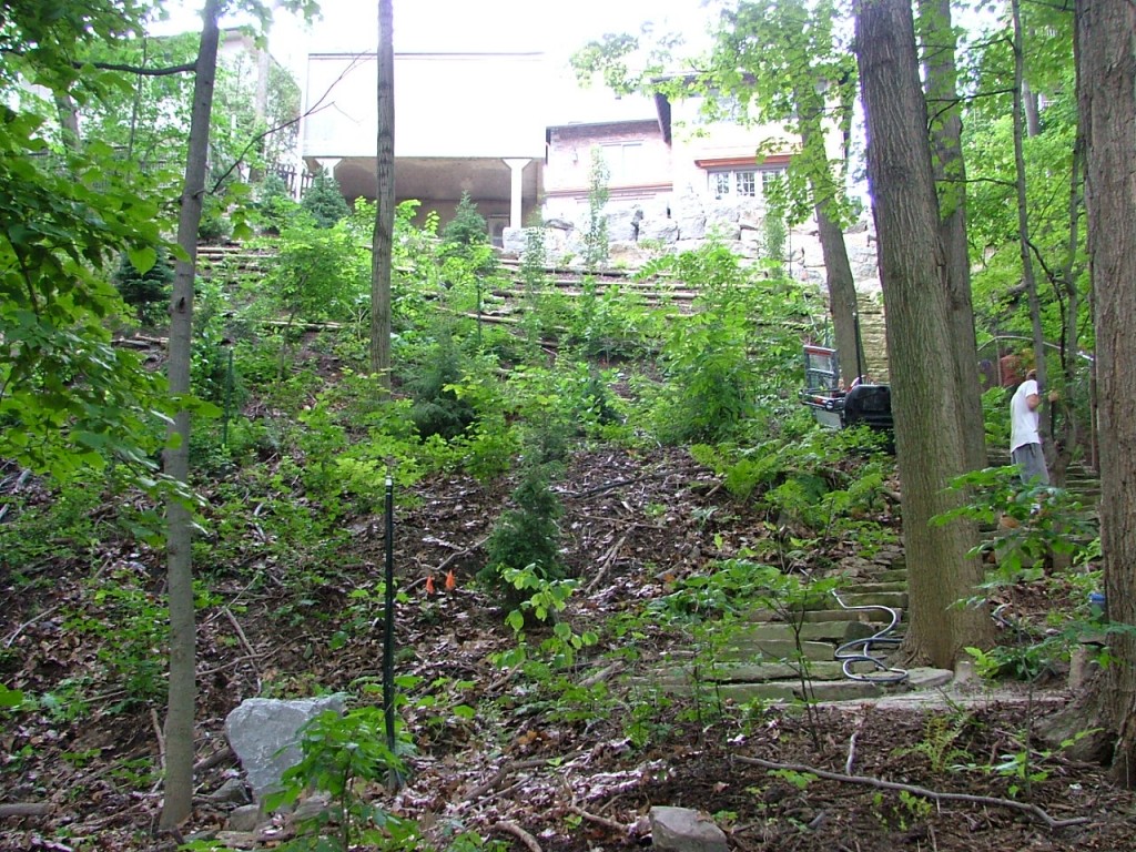 2006 0810image0001 1024x768