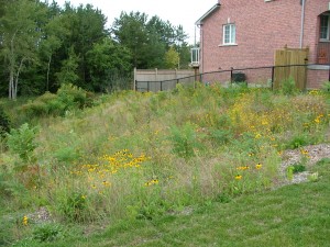 2006 0909image0009 300x225