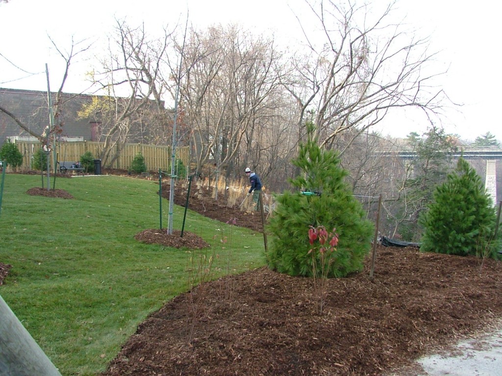 2006 1116image0016 1024x768