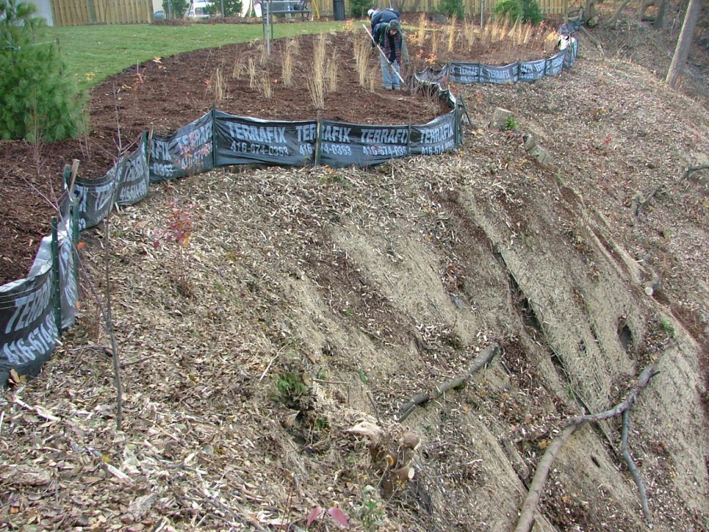 2006 1116image0017 1024x768