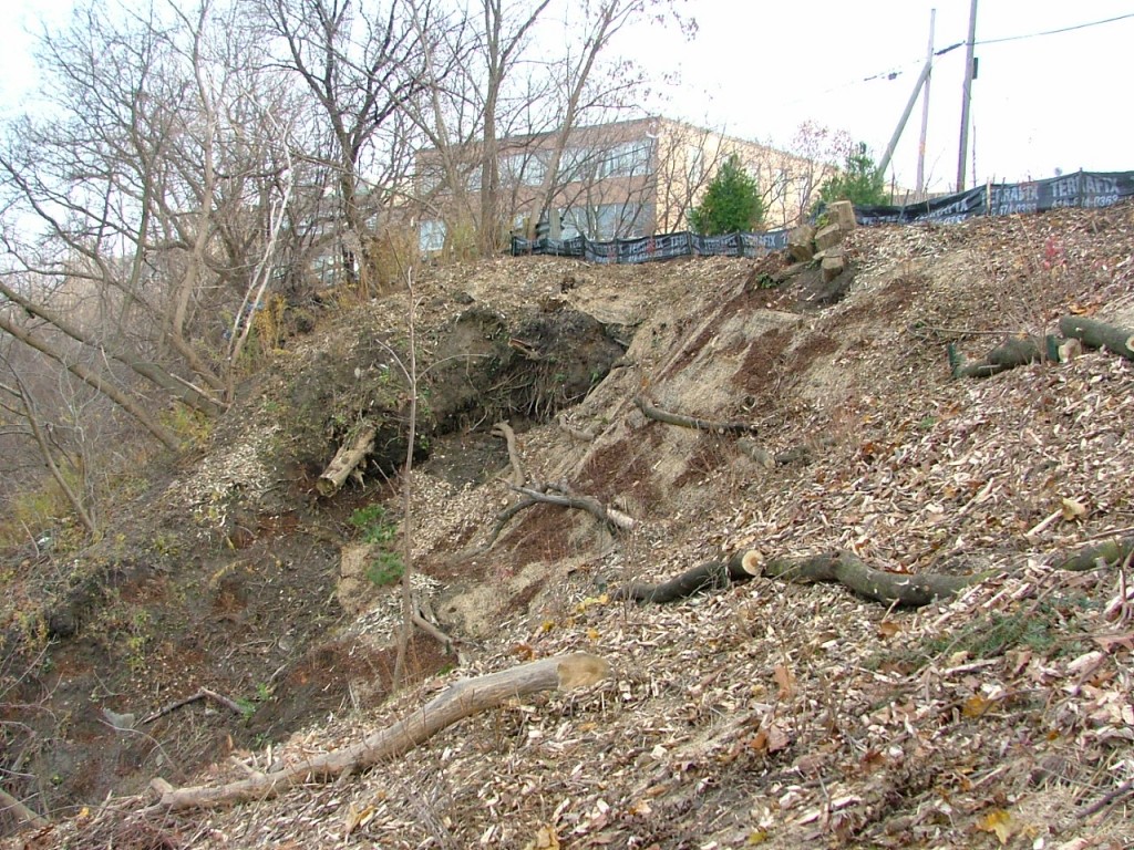 2006 1116image00251 1024x768