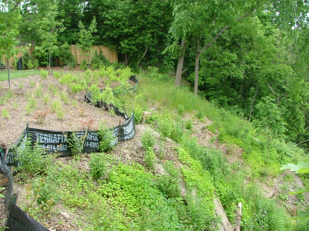 2007 0616image0013 1024x768