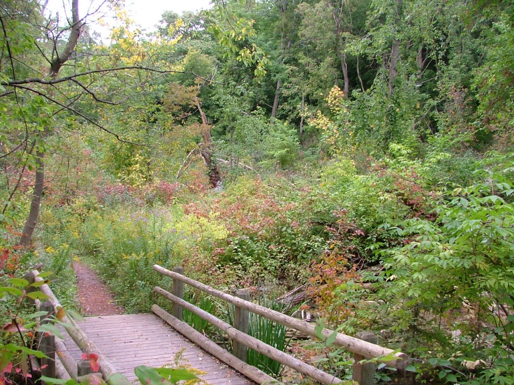 2008 0921image0007 1024x768