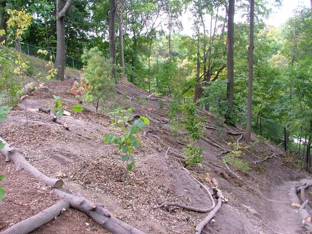 2008 0926image0004 1024x768