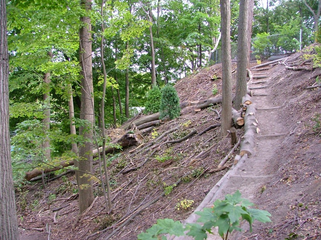 2008 0926image0008 1024x768