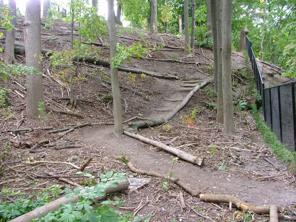 2008 0926image0011 1024x768