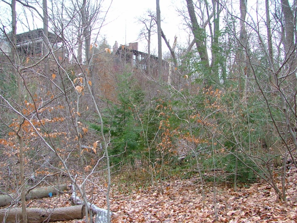 2008 1201image0011 1024x768