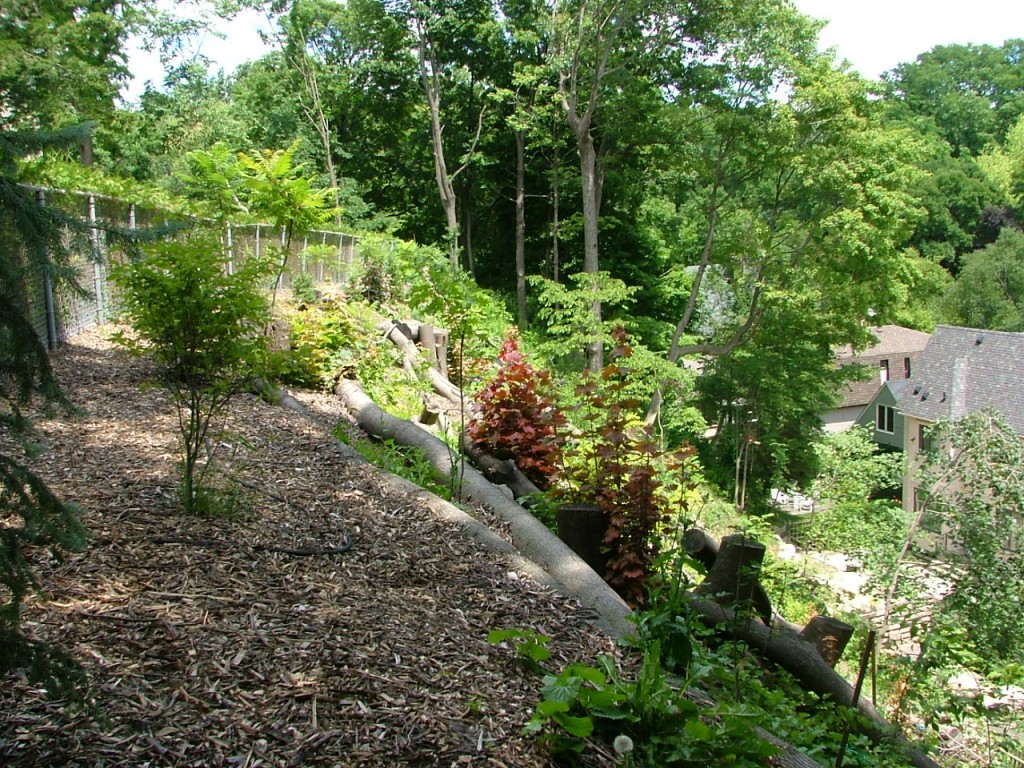 2010 0701image0007 1024x768