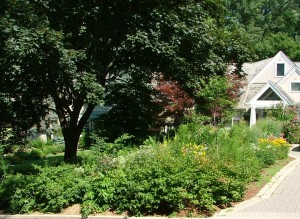 2010 0727image0001 300x219