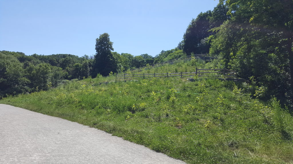 20190714 151434 1024x576