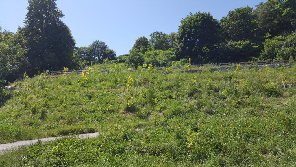 20190714 151528 1024x576