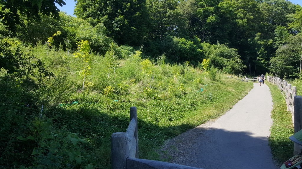 20190714 151829 1024x576