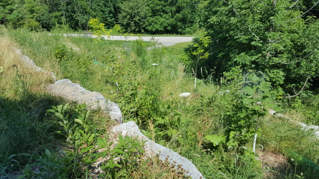 20190714 151845 1024x576