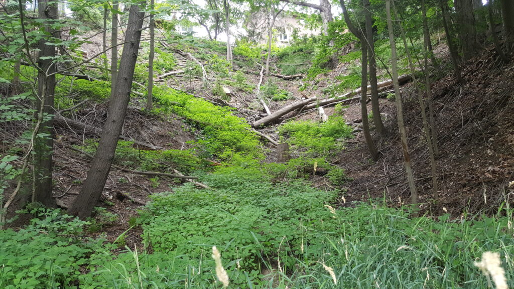 2577 st clair 2 20180721 142328