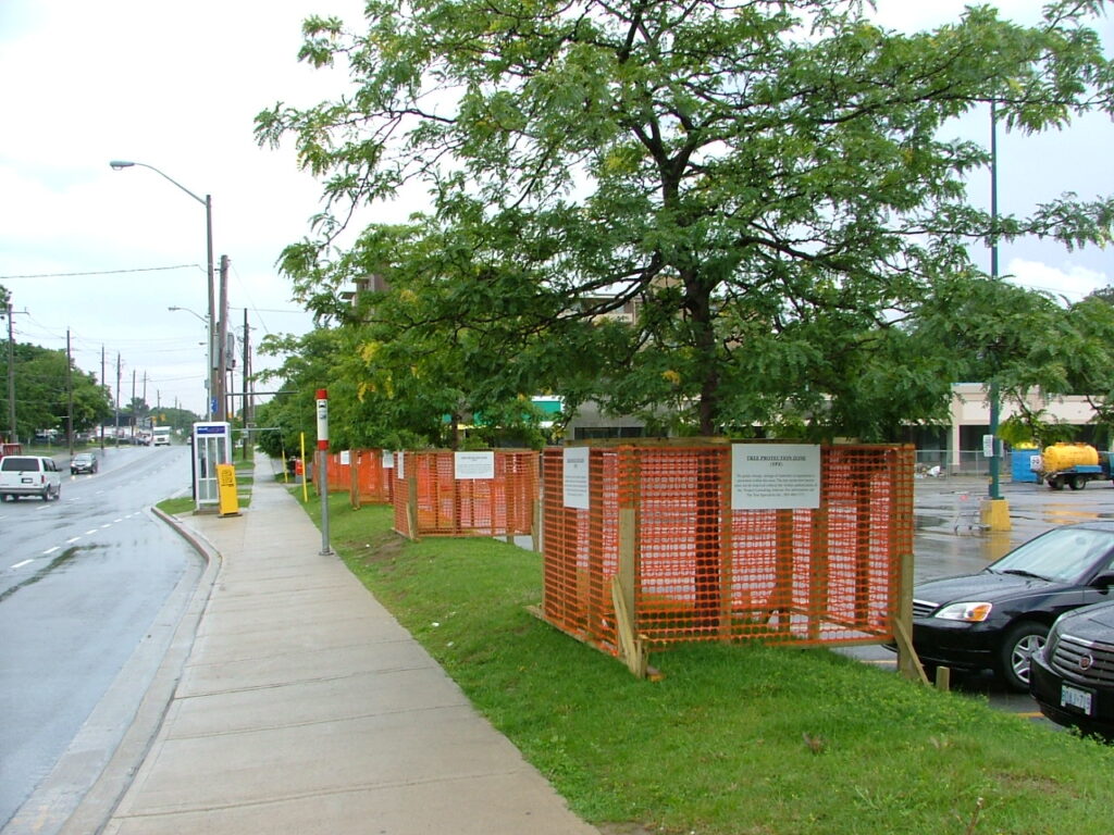 5571517564 9cc84e2a41 o