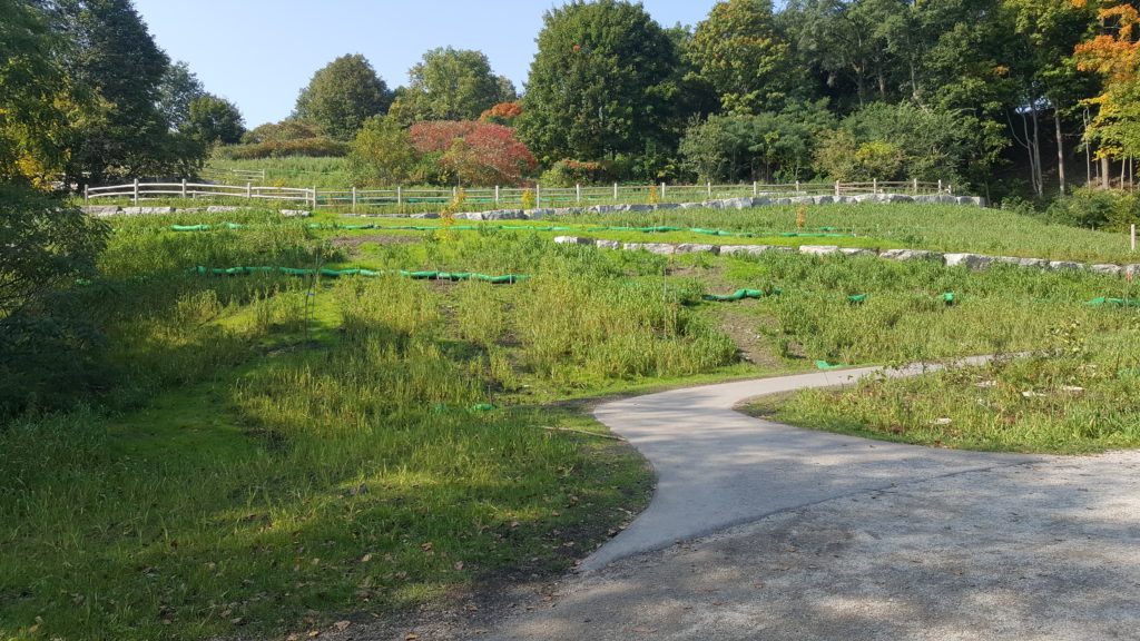 chorley pk 20181009 132420 1024x576