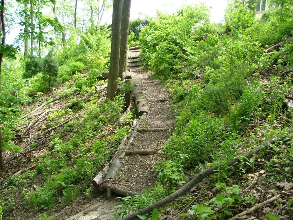 dscf0690