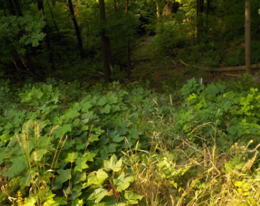 screenshot 2025 08 22 155033