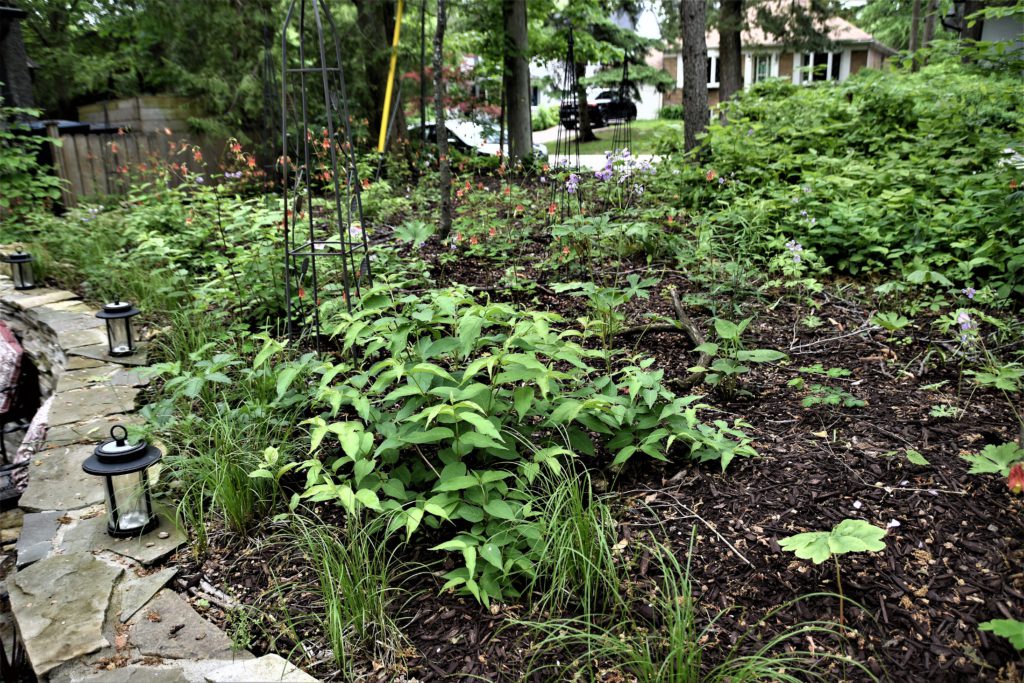 chine2edited 1024x683