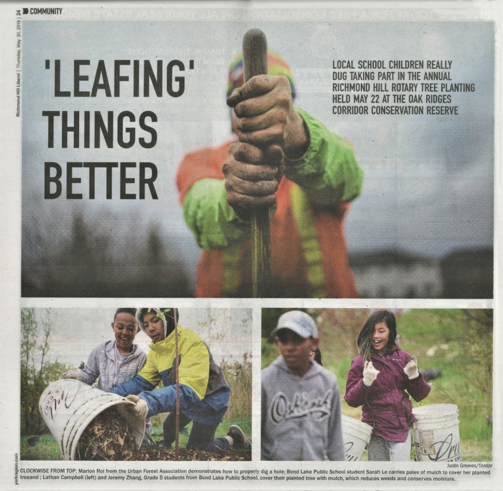 leafingit1 1024x1000
