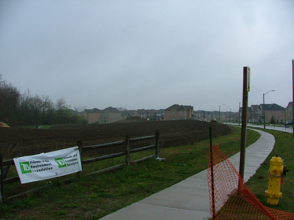 2009 site before