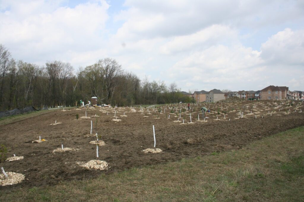 2009 site end of planting day