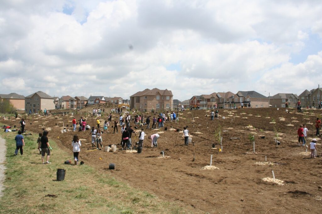 2009 site on planting day