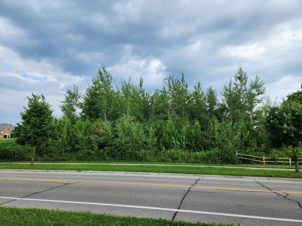 2010 site in 2024