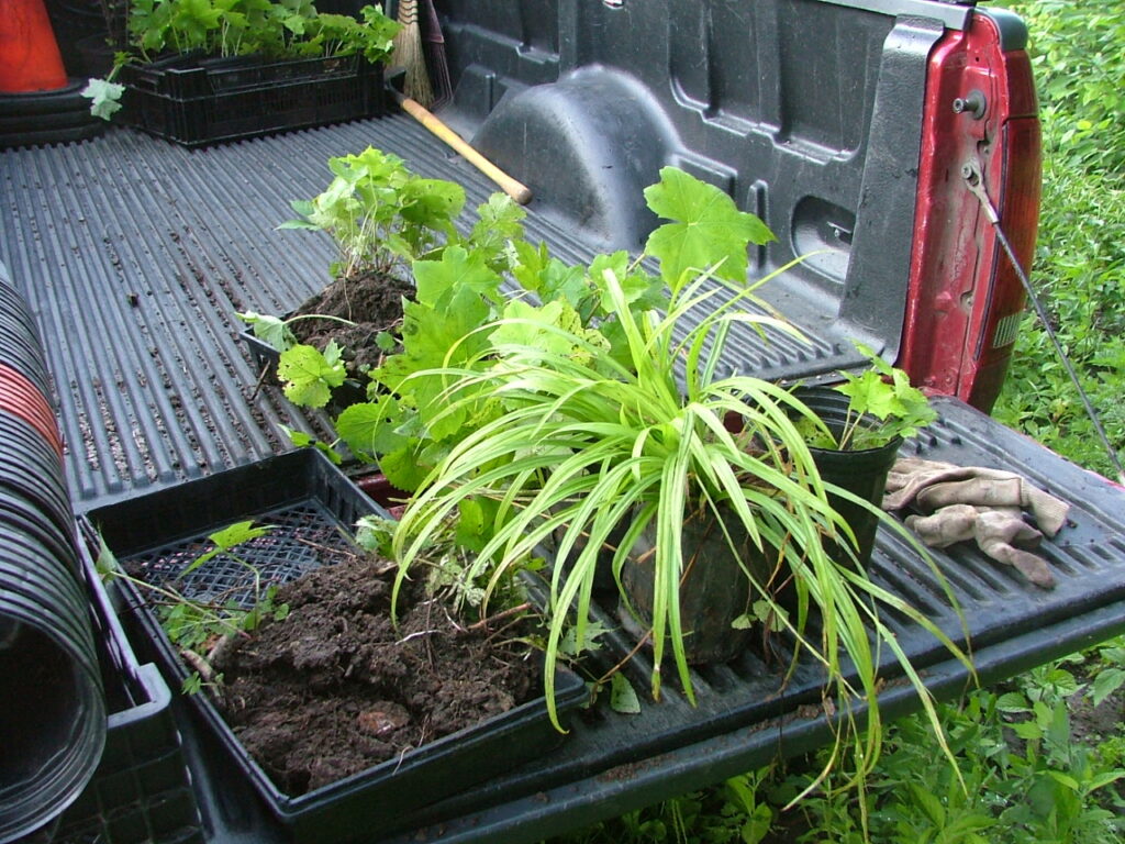 2010 0711image0001