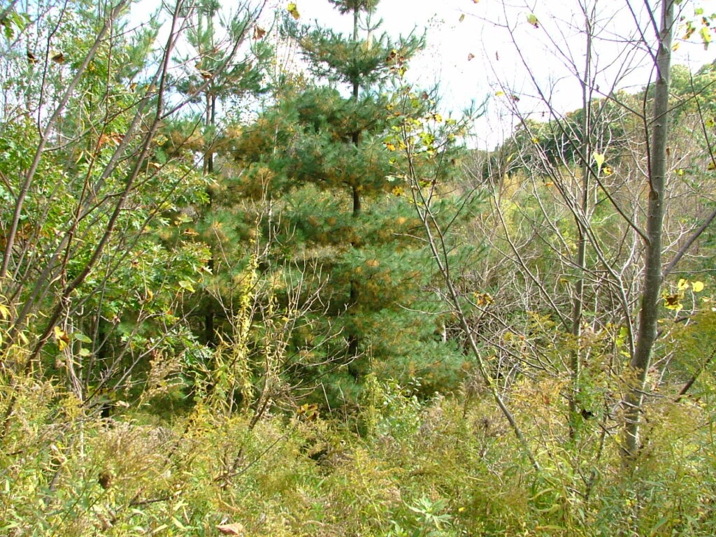 2010 1001image0034