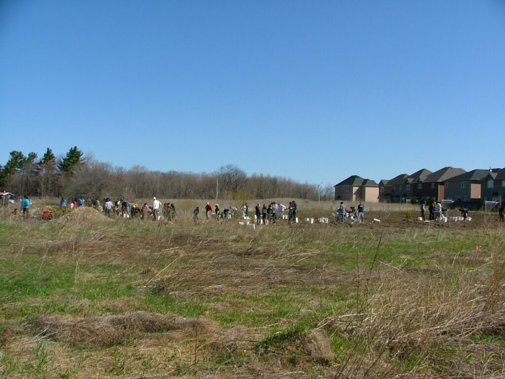 2011 site planting day