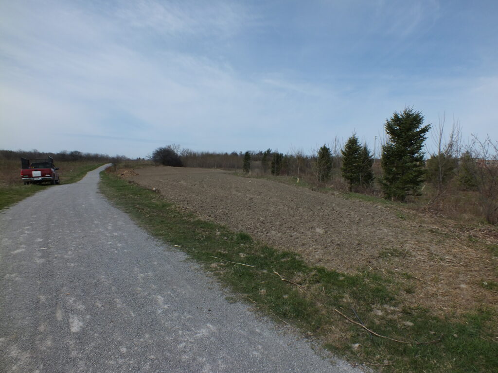 2014 site before