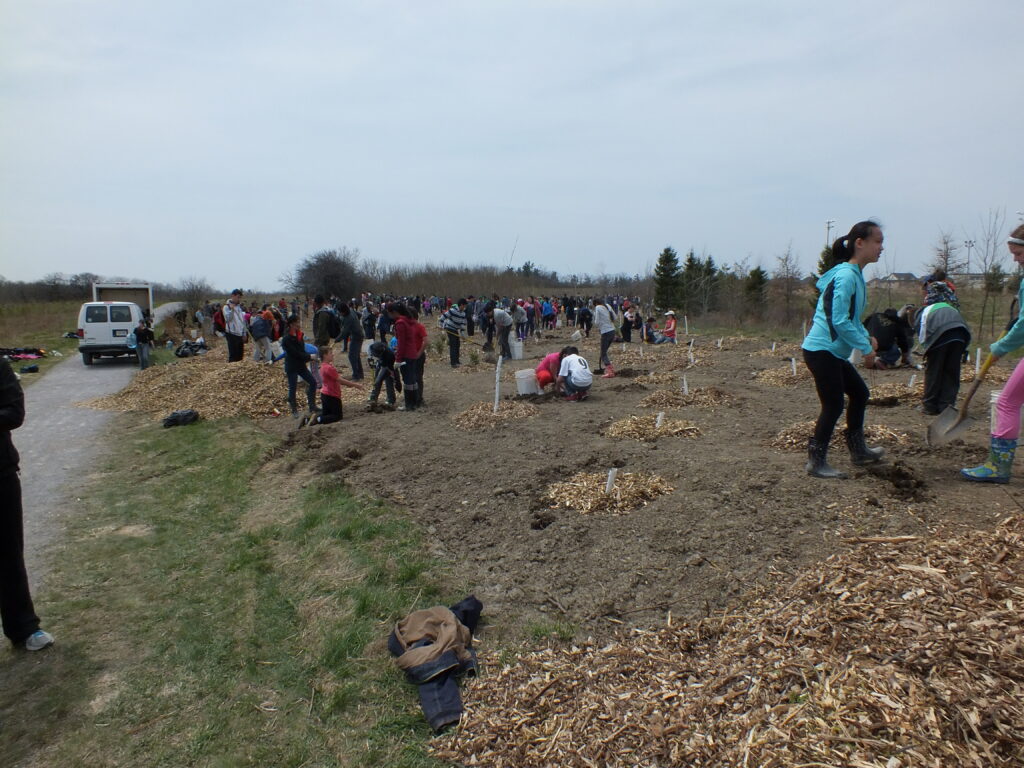 2014 site on planting day