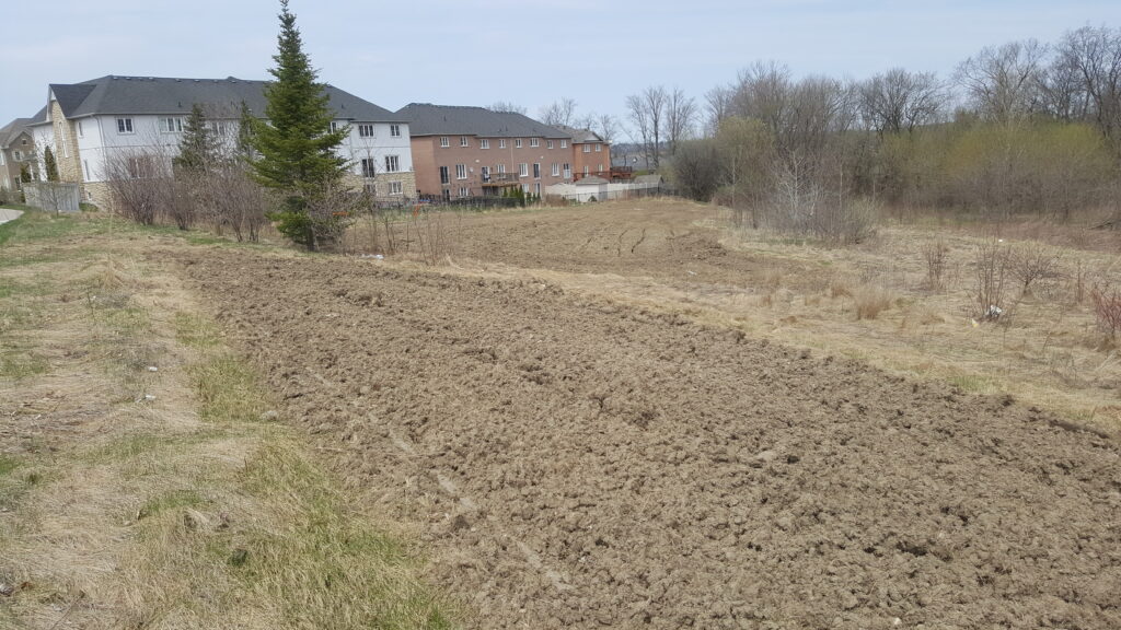 2018 site before