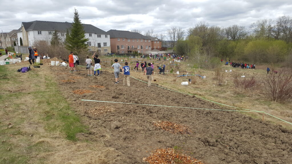 2018 site on planting day