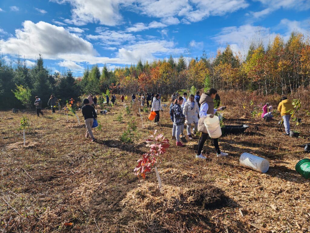 2025 planting day