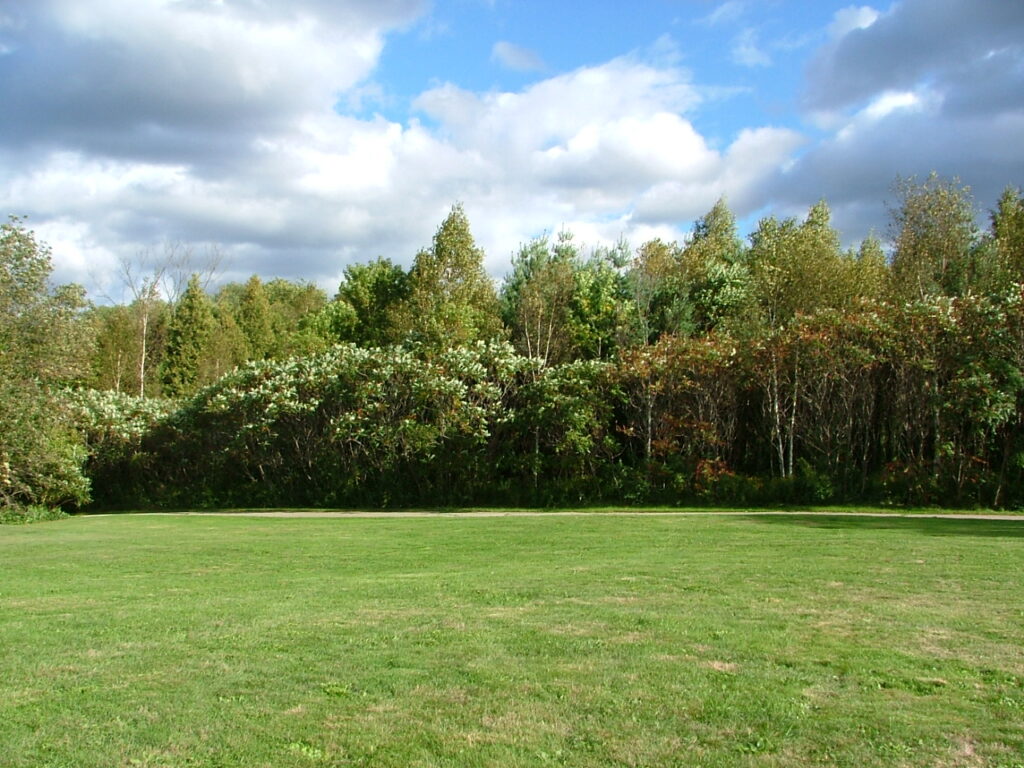 dscf1402 2011