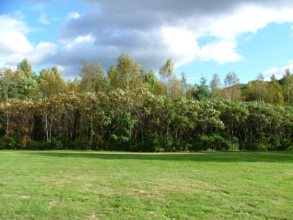 dscf1403