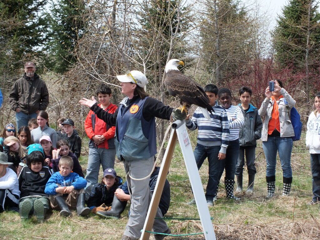 raptor show at 2014 planting day
