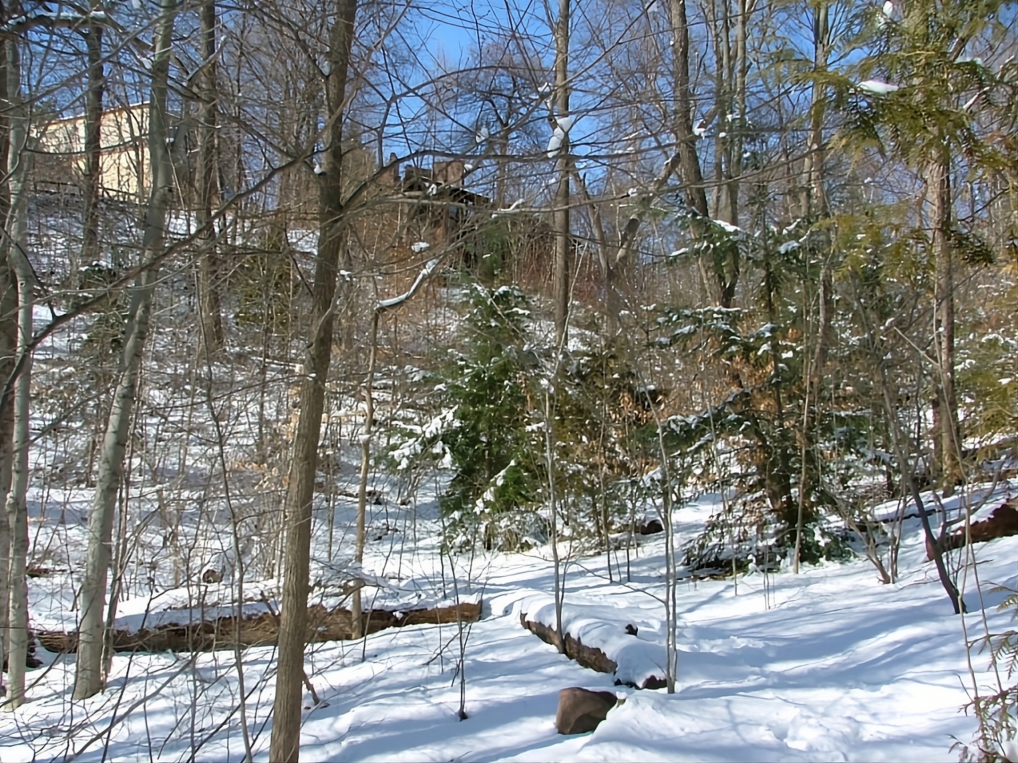 upscalemedia transformed (14)